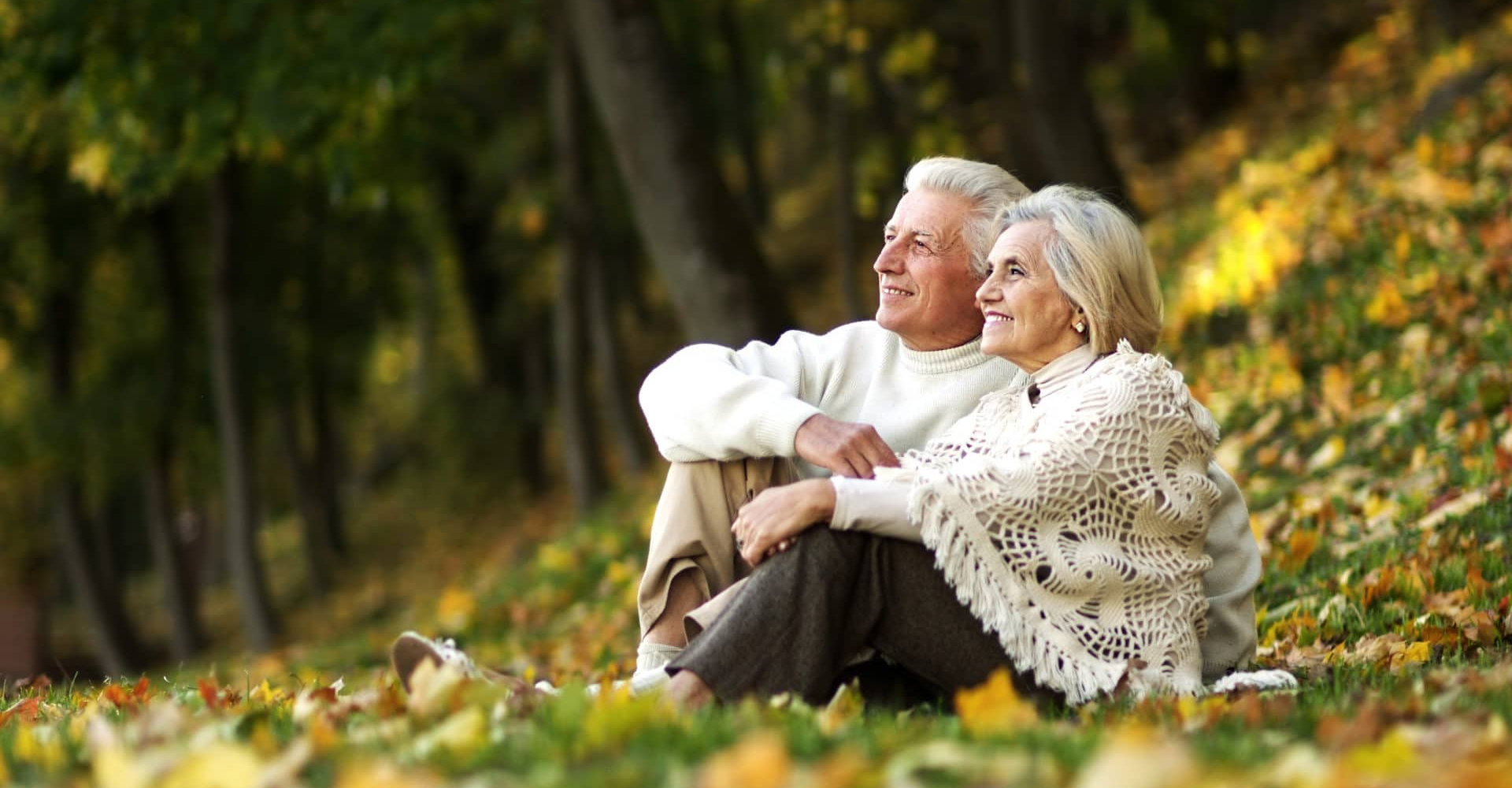 Main Image, elderly couple in the park